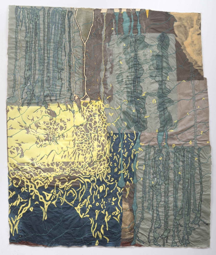 Drawing depicting the growth of mangrove forests in green, brown and yellow