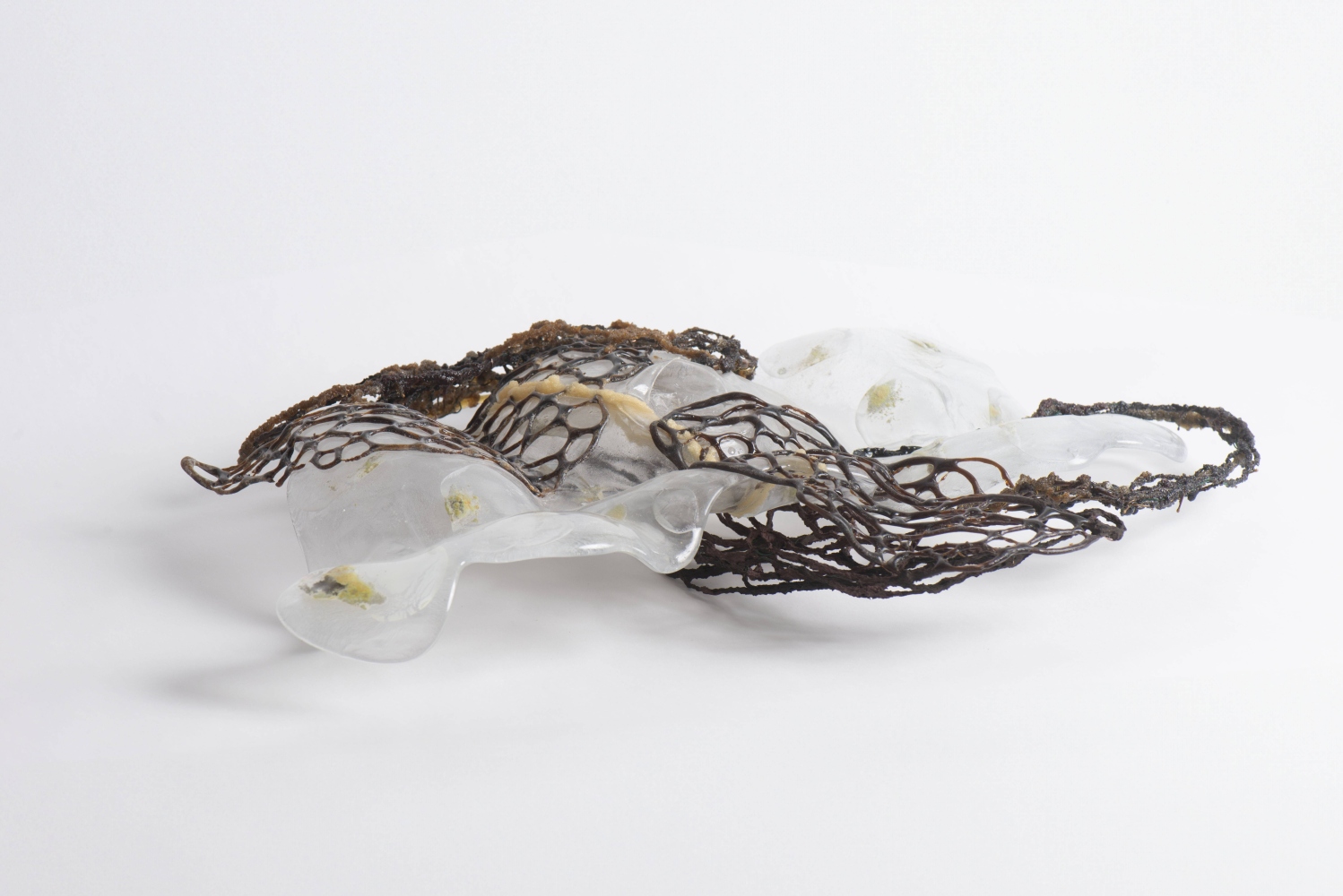 clear glass sculptures with wing like brown forms