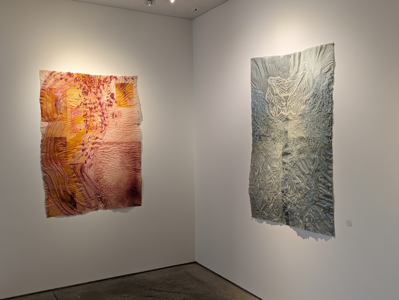 installation photo of two drawings with organic forms