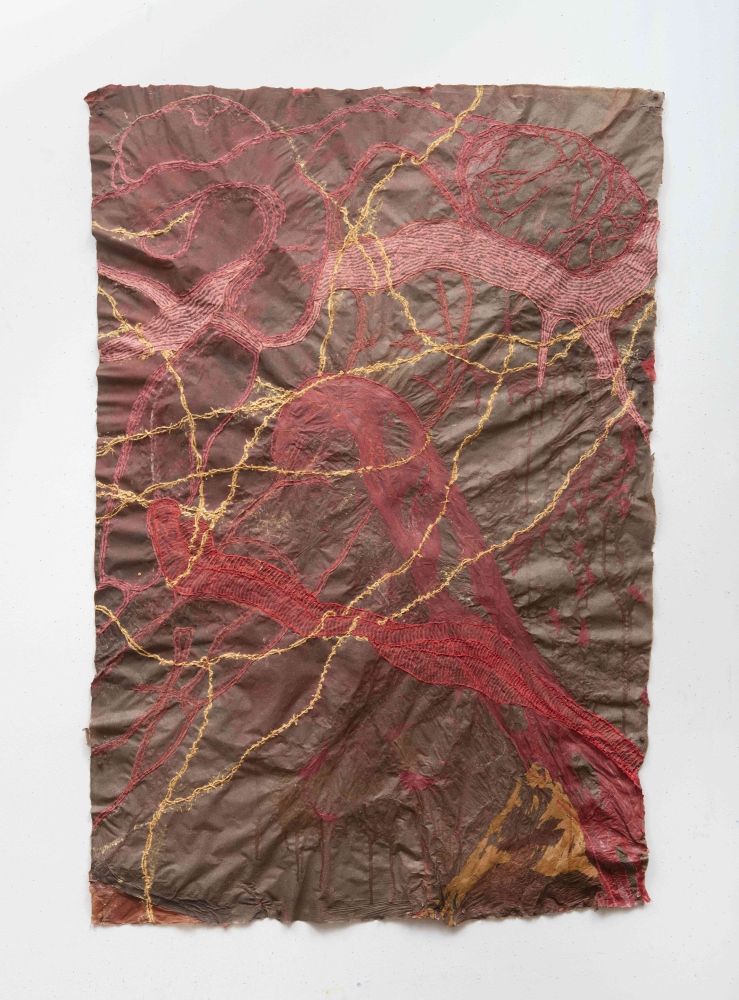 reddish root-like forms on brown paper