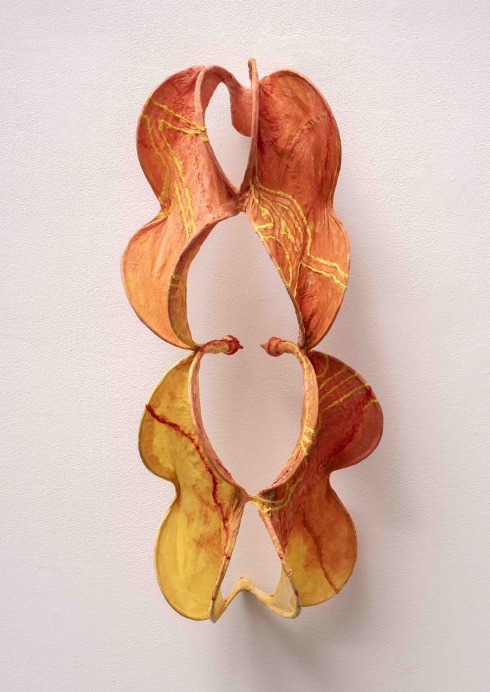 Paper wall sculpture of four curvilinear forms