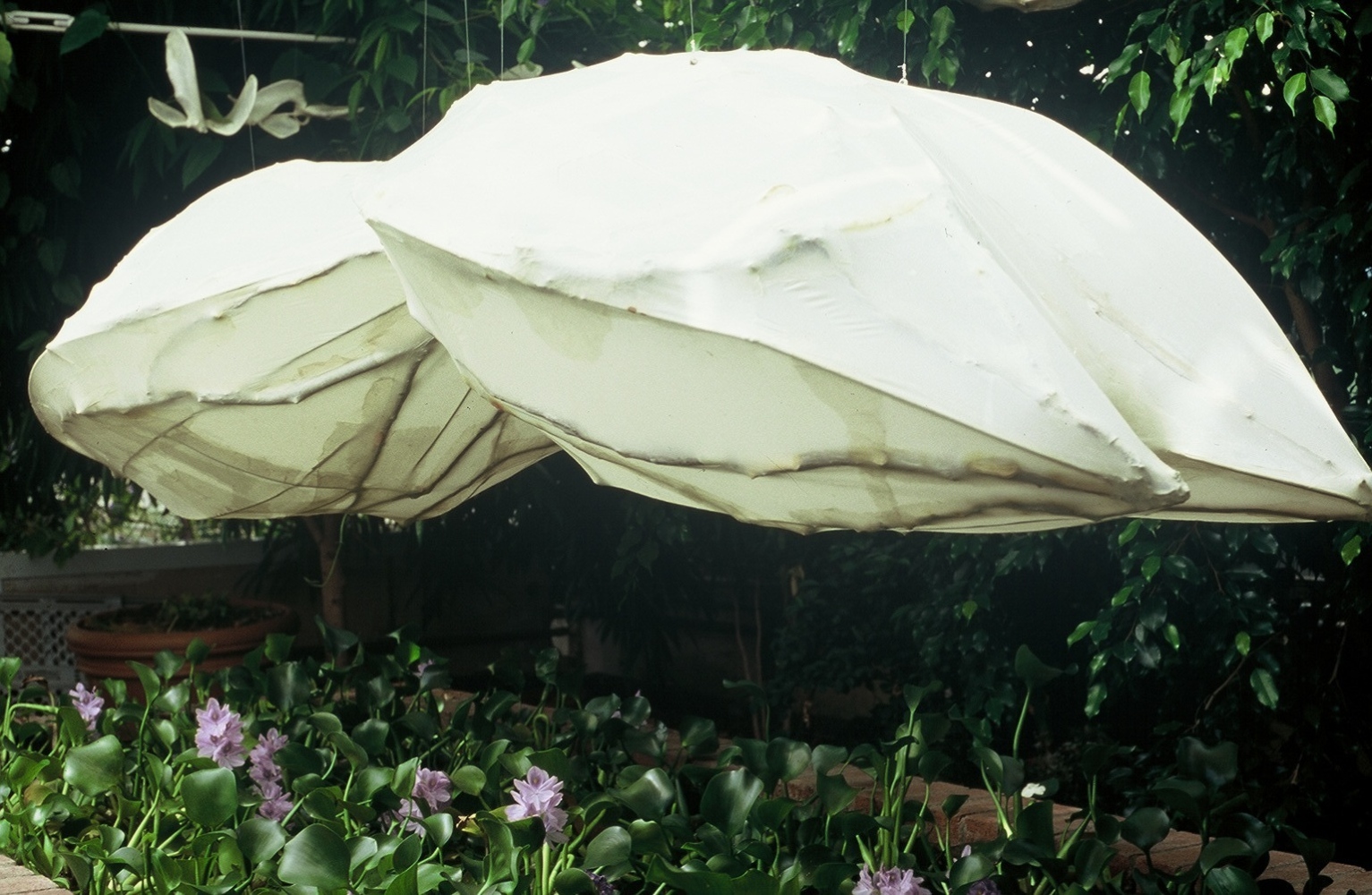 detail of paper sculptures suspended over pond