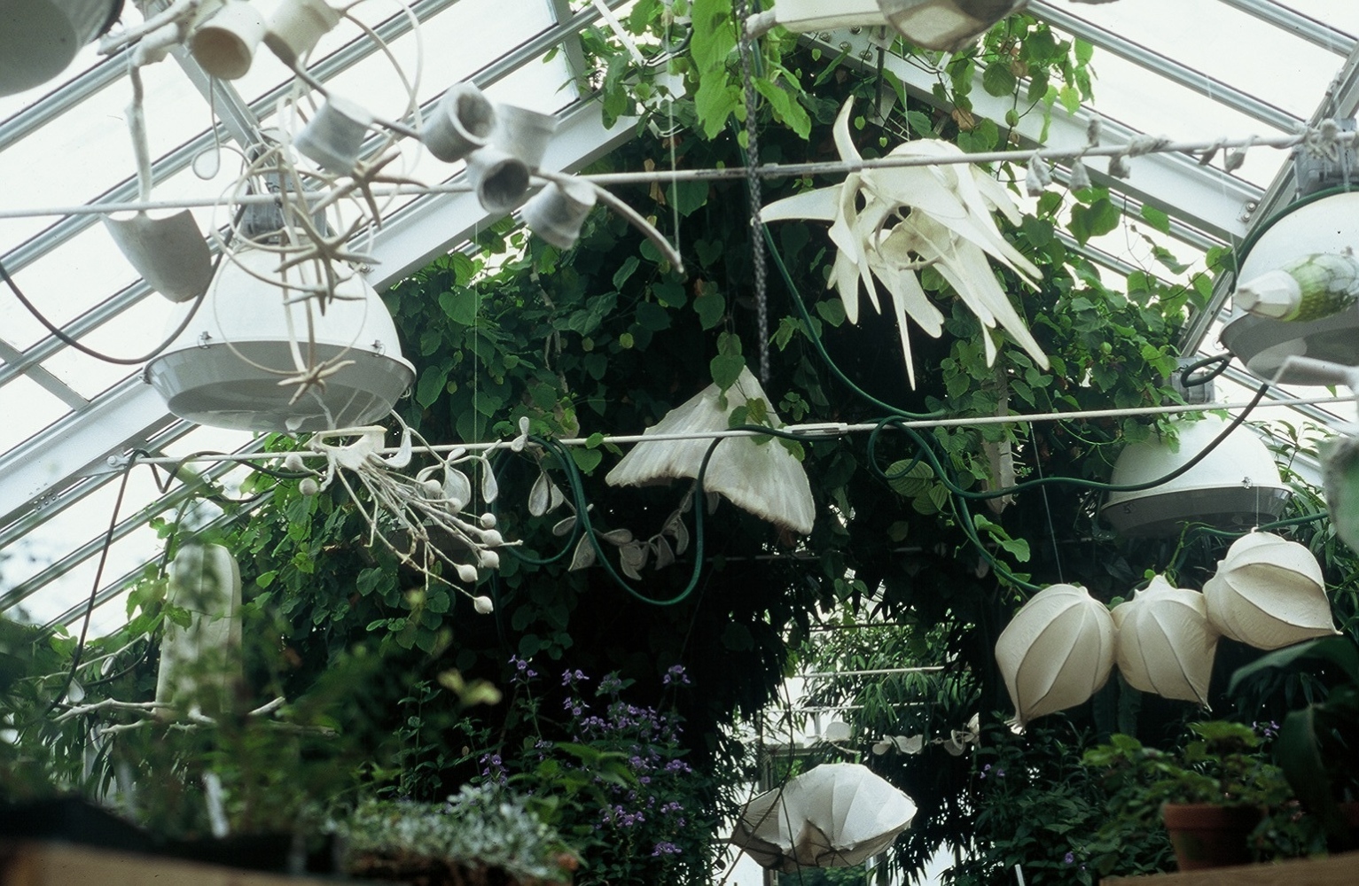 photo from propogation room looking into formal garden